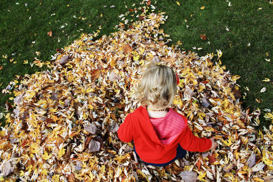 Keep Moving This Fall